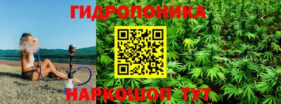 ПСИЛОЦИБИНОВЫЕ ГРИБЫ Камышлов
