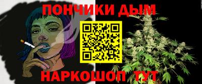 ПСИЛОЦИБИНОВЫЕ ГРИБЫ Камышлов
