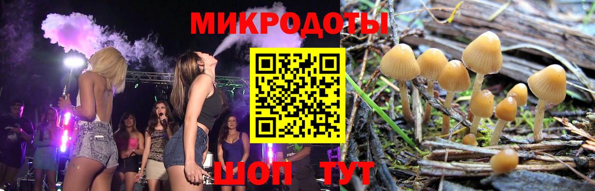 Галлюциногенные грибы Psilocybe  Вход с VPN  наркота  Касимов  Псилоцибиновые грибы мицелий 