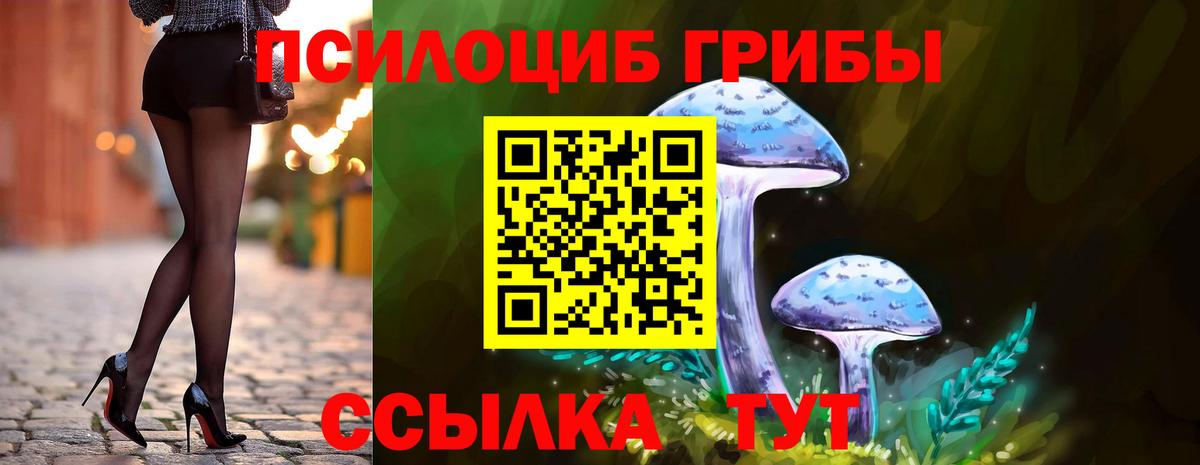 Галлюциногенные грибы Psilocybine cubensis Касимов